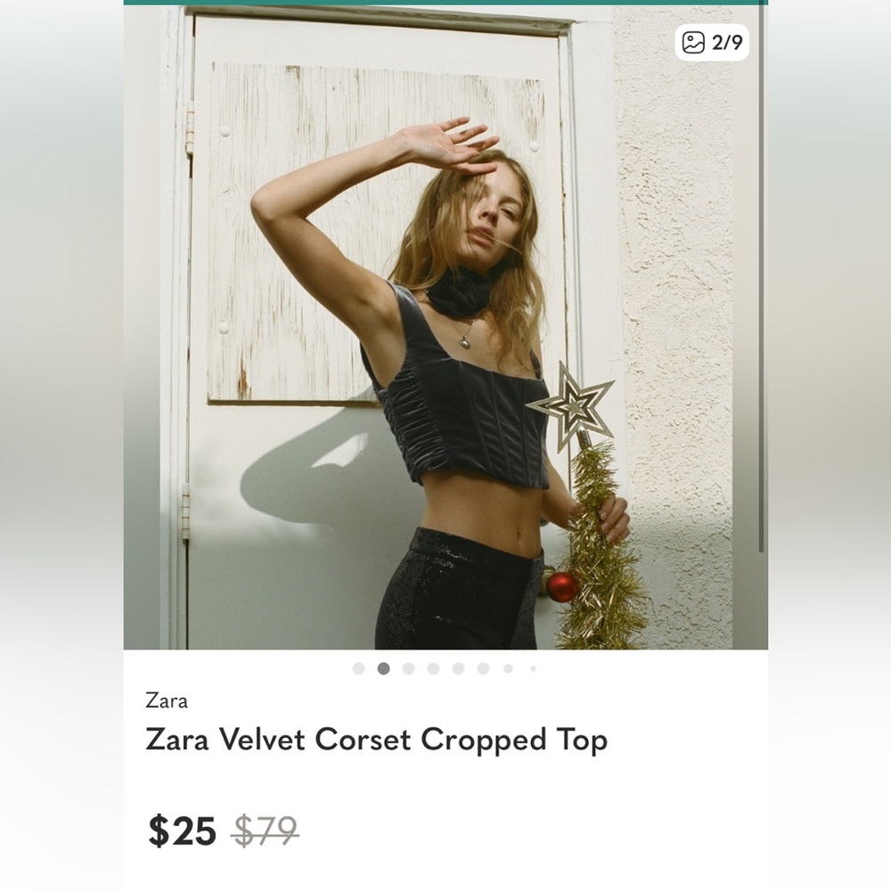 VGUC Zara Metallic Gray Velvet Corset Crop Top size Small